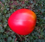 . Бычье сердце дяди Йи Чана (Yee Chan's Uncle's Oxheart)