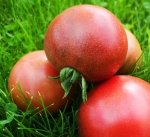 . Карлик Мечта Хейзи (Dwarf Hazy’s Dream)