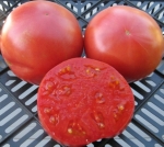 . Лихач Вилс (Reckless driver Vils)