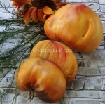 . Сержант Пеппер биколор (Sgt. Peppers Bicolor)