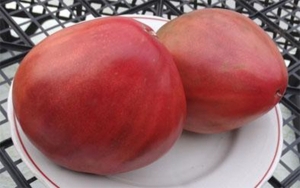 Чёрная пирамида (Black Pyramida), сердцевидные томаты,