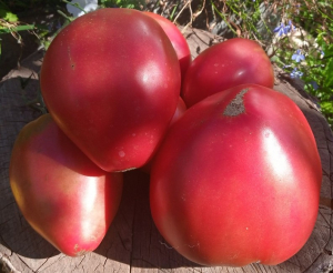 Bella Rosina, Сердцевидные томаты