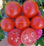 . Карлик Счастливый Леприкон (Dwarf Lucky Leprechaun)