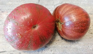 Красные Полосы Амарилло (Red Amarillo Stripes), полосатые томаты,