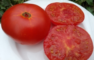 Милый Алый Карлик (Sweet Scarlet Dwarf)